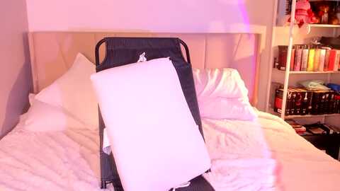 shiisundai @ myfreecams on 20231104