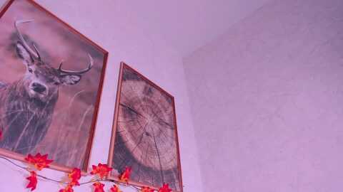 droolgirl @ myfreecams on 20231105