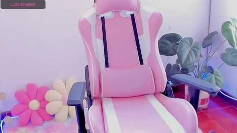 noavega @ myfreecams on 20231105