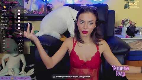 tamararay @ myfreecams on 20231105