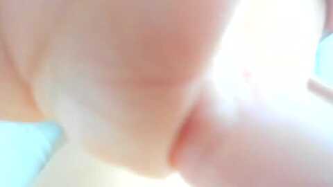 thewolfof_mfc