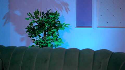 blackcloverx @ myfreecams on 20231107