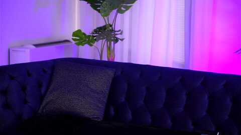 evasunderland @ myfreecams on 20231108