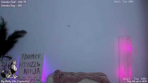 natalia_rae @ myfreecams on 20231108