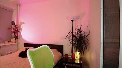 nansyfox1 @ myfreecams on 20231110