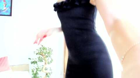 sofiephoenix @ myfreecams on 20231110