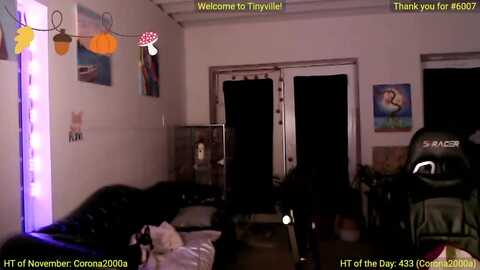 atinycassie @ myfreecams on 20231111