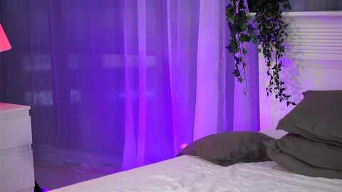 bellalopez @ myfreecams on 20231111