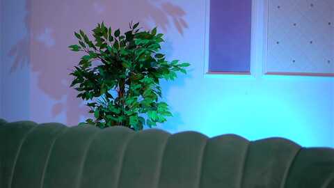 blackcloverx @ myfreecams on 20231111