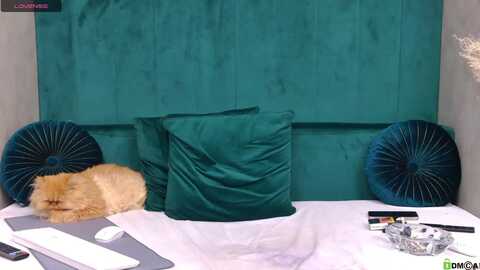 ivonady @ myfreecams on 20231111