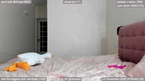 swtalterego @ myfreecams on 20231111