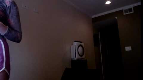 vix_spy @ myfreecams on 20231112