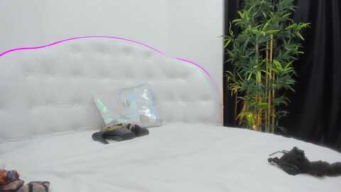 alma_whiteee @ myfreecams on 20231113