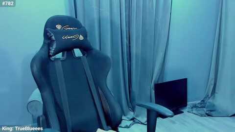 blueees @ myfreecams on 20231113