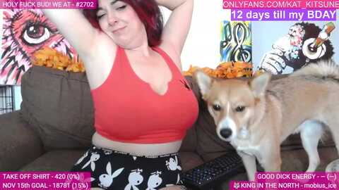 birfday_kat_k @ myfreecams on 20231115