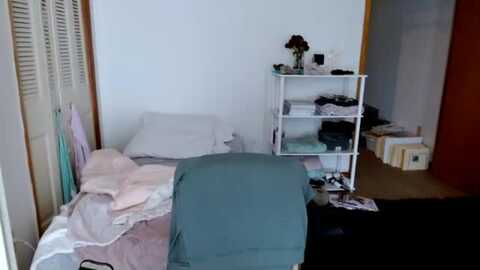 adoreanna @ myfreecams on 20231116