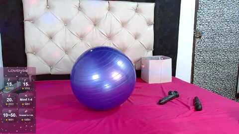 celestte97 @ myfreecams on 20231116