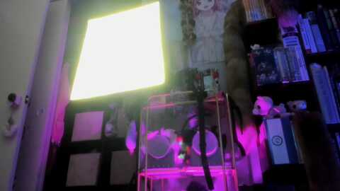 isabelle_babe @ myfreecams on 20231116