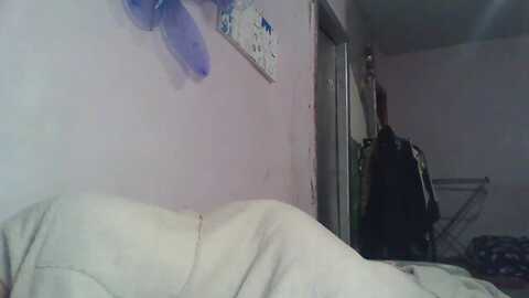 hugehighbutt @ myfreecams on 20231117