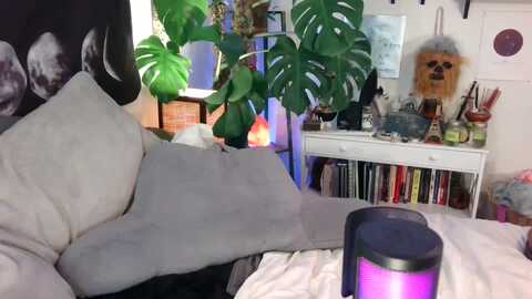 lunarlexxx @ myfreecams on 20231118