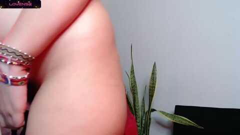 ariagaleo