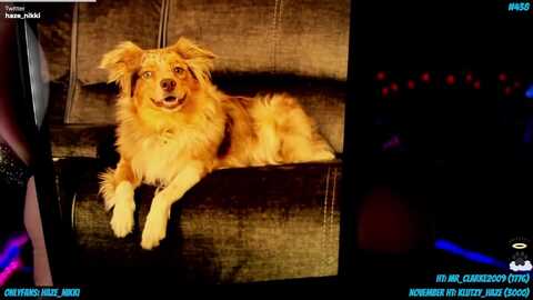 nikki_haze @ myfreecams on 20231119