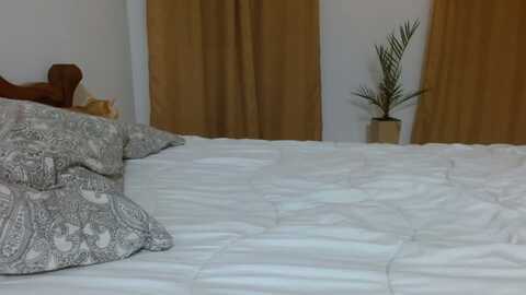 noname_ @ myfreecams on 20231119