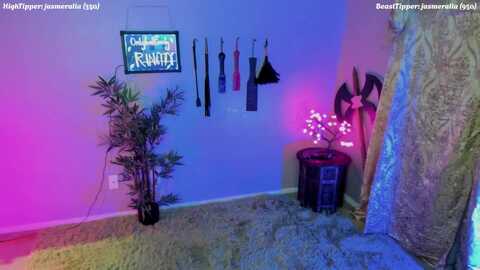 rincity @ myfreecams on 20231119