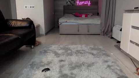 stellasol @ myfreecams on 20231119