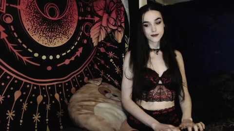 nightemira @ myfreecams on 20231121