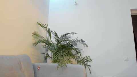 dream_wife @ myfreecams on 20231122