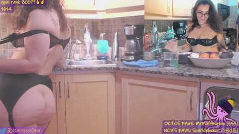 hairysafaeri @ myfreecams on 20231122