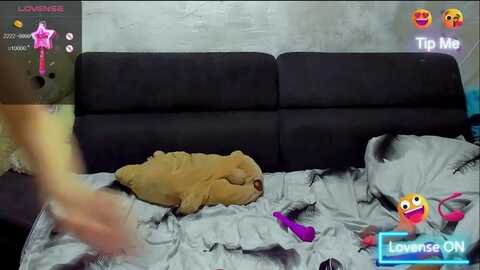 amykentt @ myfreecams on 20231124