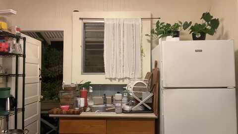 cuntry @ myfreecams on 20231124