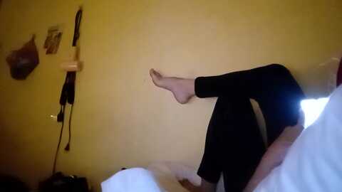 exoticlulu @ myfreecams on 20231124