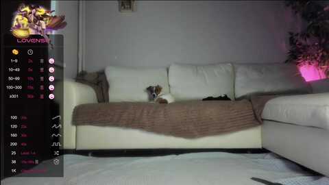 littlewetgirl @ myfreecams on 20231124