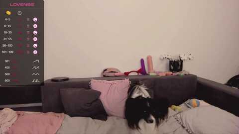 pawwssup @ myfreecams on 20231124