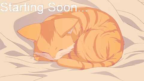 kitty @ myfreecams on 20231125