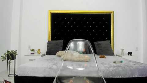 theajoy @ myfreecams on 20231126