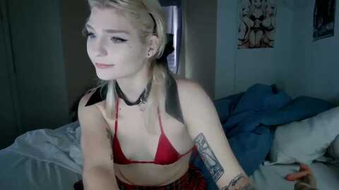 duckchan0 @ myfreecams on 20231127