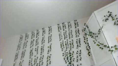 alliestark @ myfreecams on 20231128