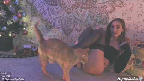 hippybabee @ myfreecams on 20231128