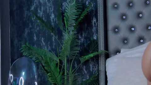 isabelleethan @ myfreecams on 20231128