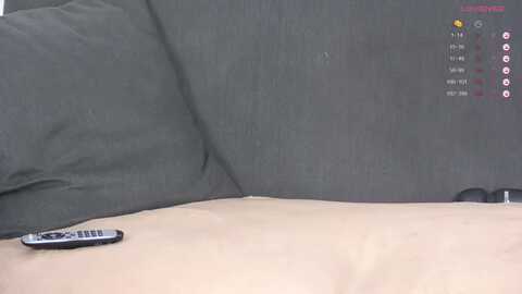 mariamercada @ myfreecams on 20231128