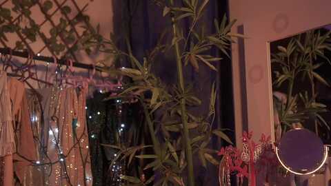 amy_starfire @ myfreecams on 20231129