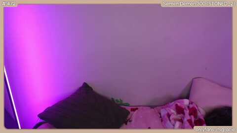 gracie @ myfreecams on 20231129