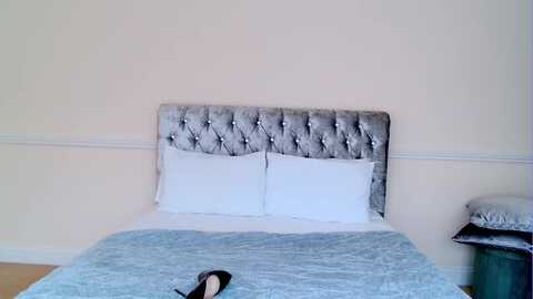 selinarose @ myfreecams on 20231129