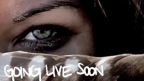 deszeppelin @ myfreecams on 20231130