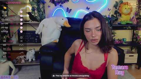 tamararay @ myfreecams on 20231130