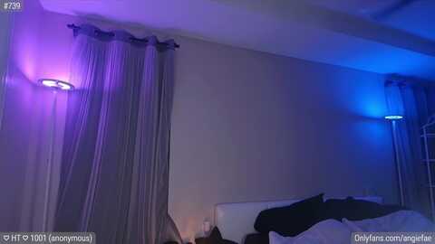 angiefae @ myfreecams on 20231201